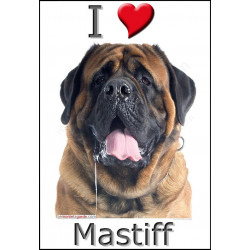 "I love Mastiff" Sticker photo 3 tailles, 4 possibilités !