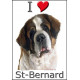 Sticker autocollant, Saint-Bernard Tête, 4 tailles, 4 possibilités !