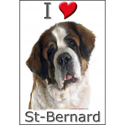 "I love St-Bernard" Sticker photo 2 tailles, 4 possibilités ! C