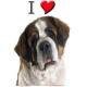 Sticker autocollant, Saint-Bernard Tête, 4 tailles, 4 possibilités ! Photo + I love