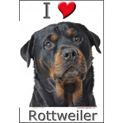 "I love Rottweiler" Sticker photo 4 tailles, 4 possibilités !