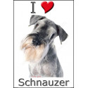 "I love Schnauzer" Sticker photo 4 tailles, 4 possibilités !