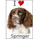 "I love Springer" sticker photo, 4 tailles, 4 possibilités ! C