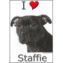 "I love Staffie" Sticker photo 4 tailles, 4 possibilités !