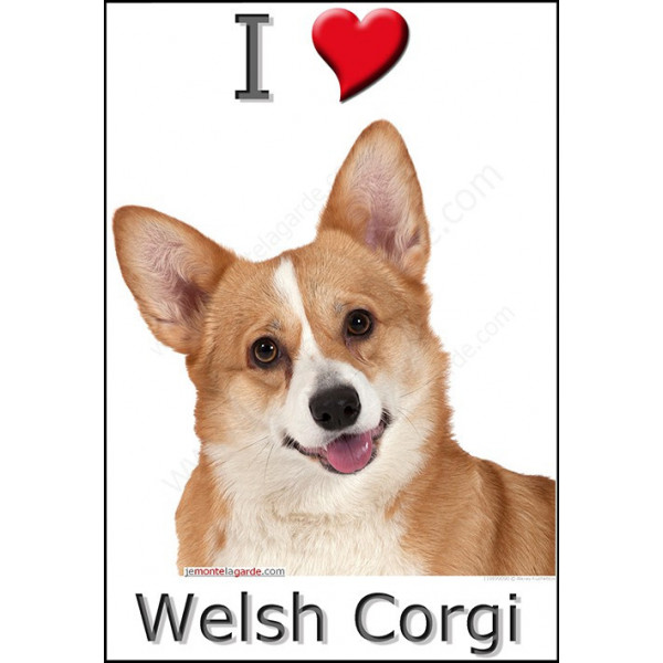 Sticker autocollant, Welsh Corgi Tête, 4 tailles, 4 possibilités !