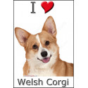 "I love Welsh Corgi" Sticker photo 4 tailles, 4 possibilités !