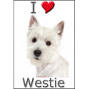 "I love Westie" Sticker photo 4 tailles, 4 possibilités ! C