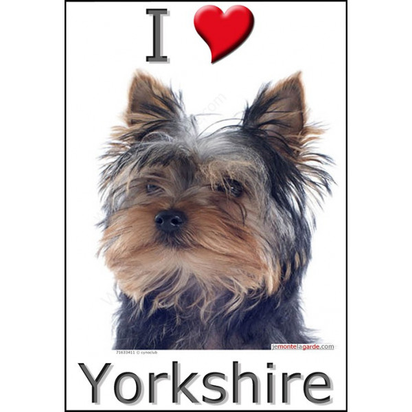 Sticker autocollant, Yorkshire Tête, 4 tailles, 4 possibilités !