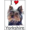 "I love Yorkshire" Sticker photo 4 tailles, 4 possibilités !