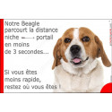 Beagle Tête, plaque humour "distance Niche - Portail" 24 cm 3SEC