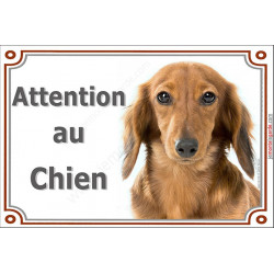 Plaque portail Attention au Chien, Teckel fauve poils longs Tête pancarte panneau marron tequel orange
