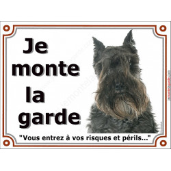 Schnauzer noir, plaque portail "Je Monte la Garde, risques et périls" panneau photo pancarte attention au chien