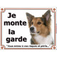 Border Collie tricolore Tête, plaque portail "Je Monte la Garde, risques et périls" pancarte, panneau 3 couleurs photo