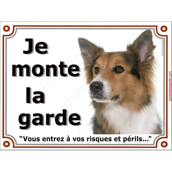Border Collie tricolore Tête, plaque portail "Je Monte la Garde, risques et périls" pancarte, panneau 3 couleurs photo