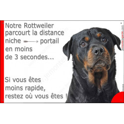Rottweiler Tête, Plaque Portail distance niche-portail 3 secondes, pancarte, affiche panneau Rotweiler drôle marrant humour