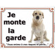 Labrador sable clair assis, plaque portail "je Monte la Garde, risques et périls" pancarte panneau beige blanc attention au chie