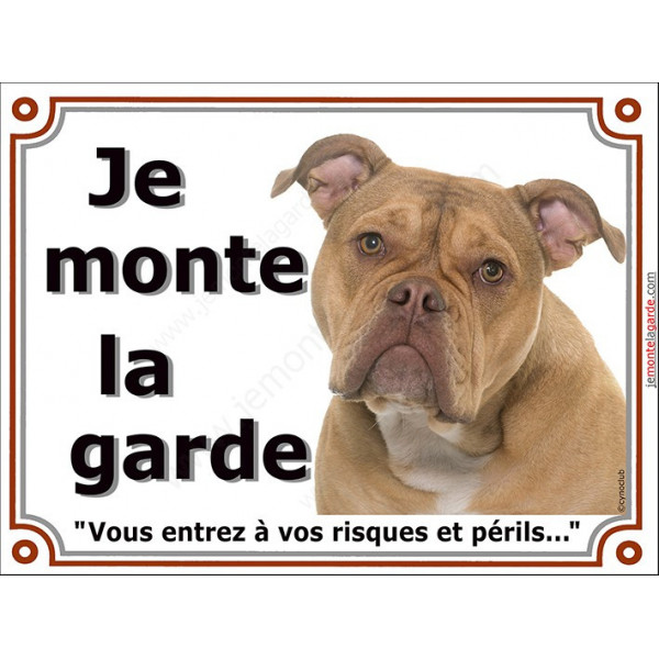 Old English Bulldog, plaque portail "Je Monte la Garde, risques et périls" pancarte panneau anglais photo race Attention au Chie
