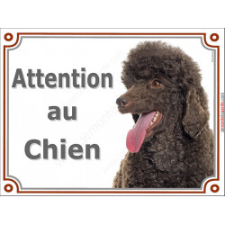 Caniche Marron Chocolat Tête , plaque portail "Attention au Chien" pancarte panneau caniche nain brun