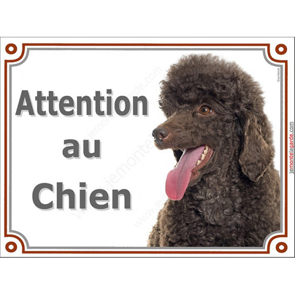 Caniche Marron Chocolat Tête , plaque portail "Attention au Chien" pancarte panneau caniche nain brun