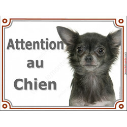 Chihuahua gris loup à poils longs plaque portail "Attention au Chien" pancarte panneau photo