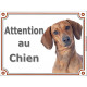 Teckel fauve poils ras Tête, plaque portail "Attention au Chien" pancarte panneau photo Tequel marron orange