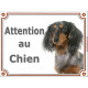Teckel Arlequin tricolore merle poils longs, pluriel pour Plaque portail "Attention au Chien" pancarte entrée, panneau photo