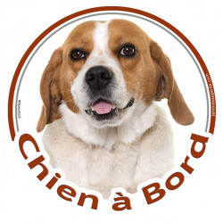 Beagle blanc et fauve Tête, sticker rond "Chien à Bord" Disque photo autocollant marron voiture