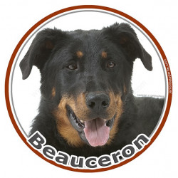 Beauceron, sticker photo rond 15 cm - 3 ans