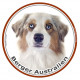 Berger Australien Blanc et Rouge Merle Tête, sticker rond 15 cm Disque photo, autocollant adhésif