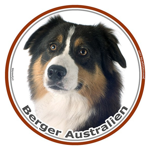 Berger Australien Tricolore Noir Tête, sticker photo rond, disque autocollant adhésif Aussie
