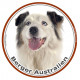 Berger Australien Blanc et Bleu Merle, sticker autocollant rond Disque photo adhésifs Aussie