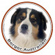 Berger Australien Tricolore Noir Tête, sticker autocollant rond Disque adhésif photo race chien