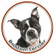 Boston Terrier, sticker photo autocollant rond, disque adhésif