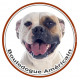 Sticker autocollant rond 15 cm, Bouledogue Américain Blanc-Fauve Tête, Bulldog USA adhésifs