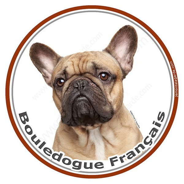 Bouledogue Français Fauve sable beige, sticker photo autocollant rond 15 cm, Disque adhésif