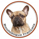 Bouledogue Français, sticker photo rond 15 cm
