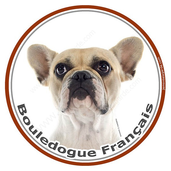 Bouledogue Français Caille Fauve Tête, sticker photo autocollant rond, disque adhésif