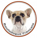 Bouledogue Français, sticker photo rond 15 cm - 3 ans
