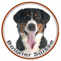 Bouvier Suisse, sticker photo rond 15 cm - 3 ans