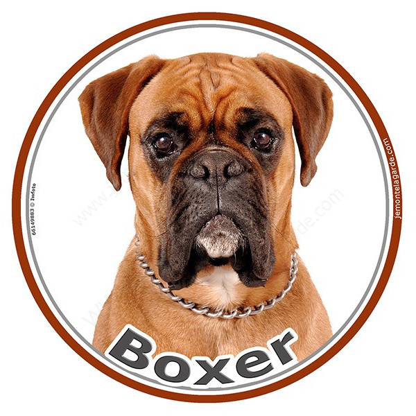 Sticker autocollant rond 15 cm, Boxer Fauve Tête, adhésif marron, photo race chien