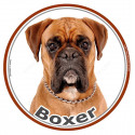 Boxer Fauve, sticker autocollant rond photo 15 cm