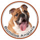 Sticker autocollant rond 15 cm, Bulldog Anglais Fauve Tête, adhésif