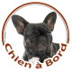 Bouledogue Français bringé, sticker autocollant rond "Chien à Bord" Disque photo adhésif vitre voiture Bulldog auto