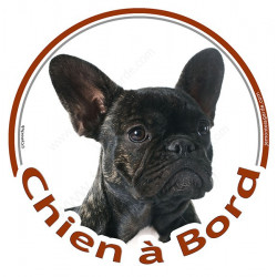 Sticker autocollant rond "Chien à Bord" Bouledogue Français noir bringé Tête, adhésif vitre voiture Bulldog auto photo