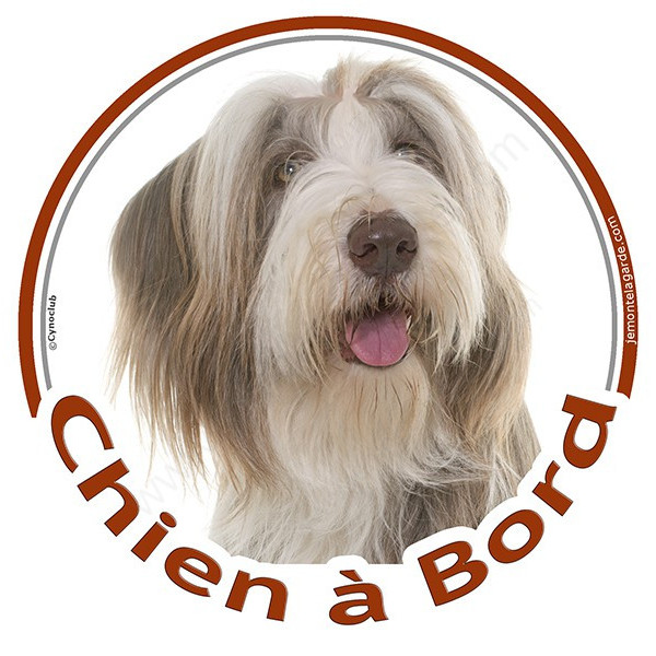 Bearded Collie Blanc et fauve, sticker autocollant rond "Chien à Bord" Disque photo adhésif vitre voiture, auto marron beige
