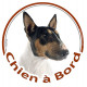 Bull Terrier tricolore Tête, sticker autocollant rond "Chien à Bord" Disque adhésif vitre voiture, chien auto photo
