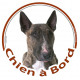 Bull Terrier bringé Tête, sticker autocollant rond "Chien à Bord" Disque photo adhésif vitre voiture bringué