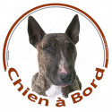 Bull Terrier, sticker voiture "Chien à Bord" 15 cm - 3 ans