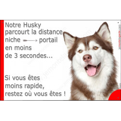 Husky marron Tête, plaque "distance Niche - Portail" 24 cm 3SEC