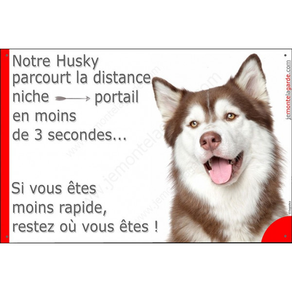 Husky marron Tête, Plaque Portail distance niche-portail 3 secondes, pancarte, affiche panneau
